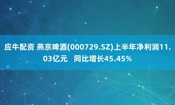 应牛配资 燕京啤酒(000729.SZ)上半年净利润11.03亿元   同比增长45.45%