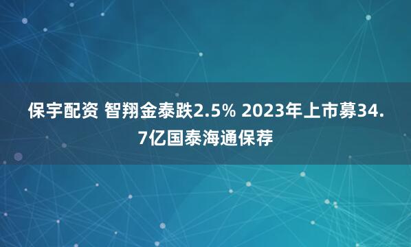 保宇配资 智翔金泰跌2.5% 2023年上市募34.7亿国泰海通保荐