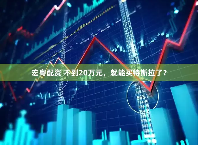 宏粤配资 不到20万元，就能买特斯拉了？